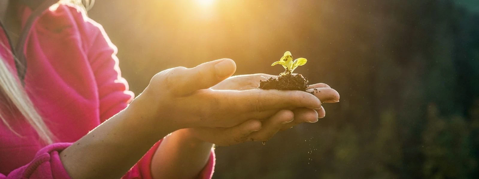 neem contact met ons op om samen te werken - zaaien vertegenwoordigt hoop