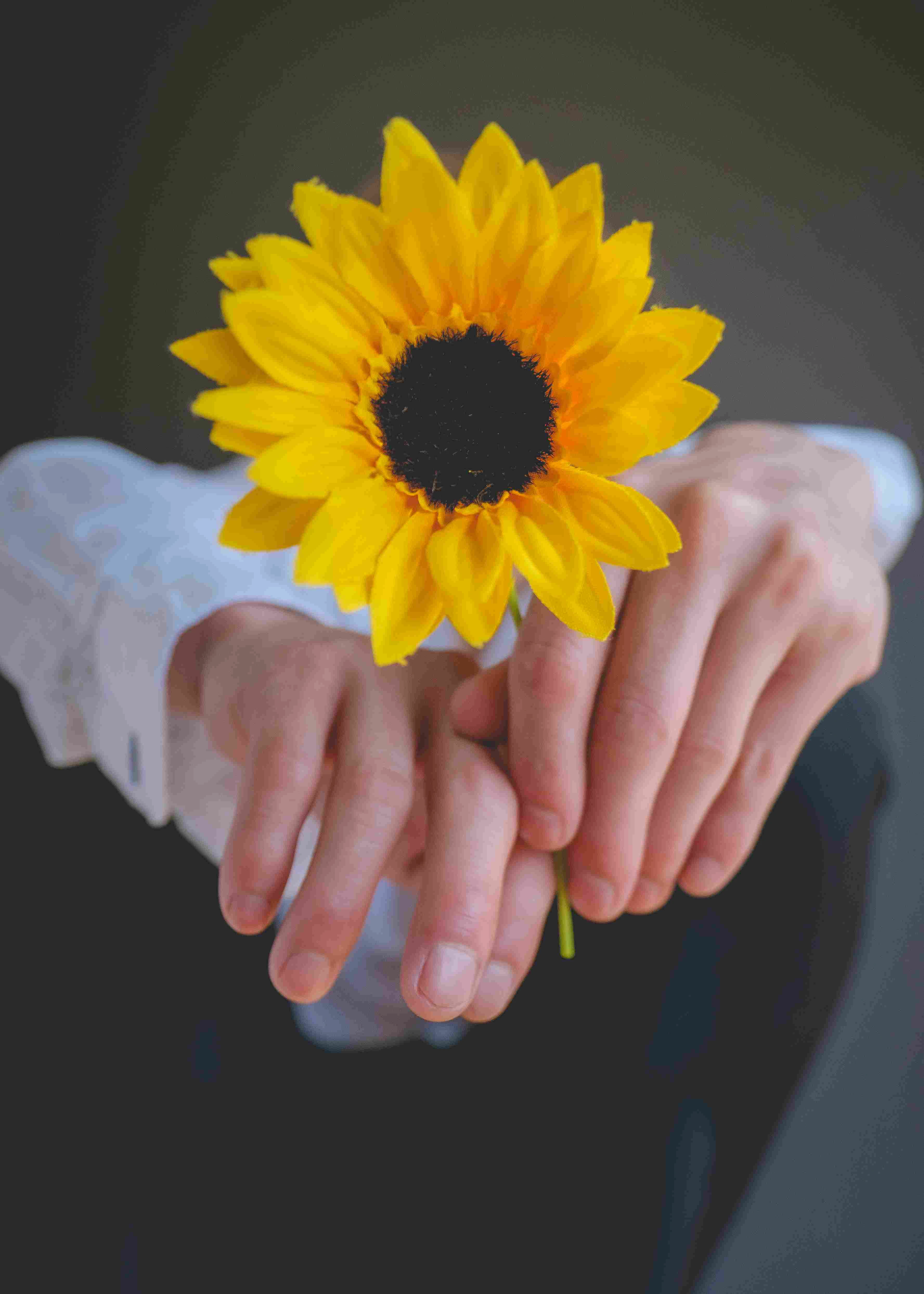 Gele zonnebloem als symbool van hoop – Word vrijwilliger en maak het verschil voor mensen met neurologische aandoeningen.